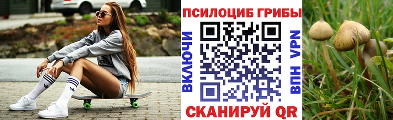 Псилоцибиновые грибы Psilocybe  Бирск 