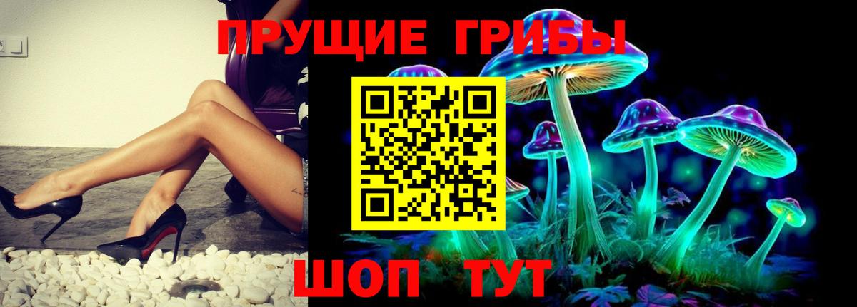 Бирск  Псилоцибиновые грибы Psilocybine cubensis  Вход с VPN 
